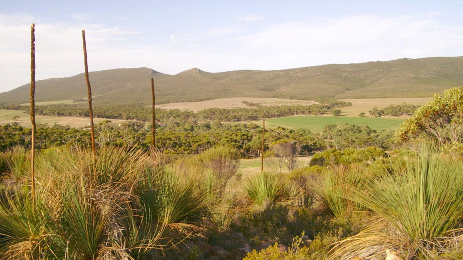 Coulta SA Kingaroy Accommodation