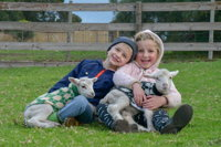 Narnu  Farm Farm stay/ School Camp - Whitsundays Accommodation