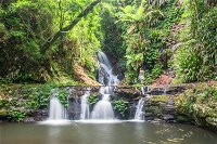 O'Reilly's Rainforest Retreat - Broome Tourism