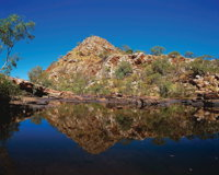 Silent Grove Camp at Wunaamin Miliwundi Ranges Conservation Park - Redcliffe Tourism
