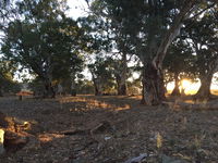 Almerta Station - Accommodation NT