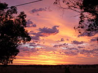 A Sunset View Bed and Breakfast - Accommodation Gold Coast