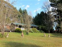 Cedar Lodge Cabins - Tourism Canberra