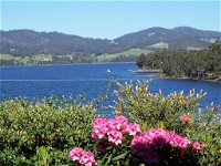 Donalea Bed  Breakfast Tasmania - Mackay Tourism