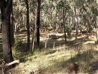 Greenbah campground - Tourism Canberra