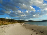 Harpers on the Beach - Accommodation Nelson Bay