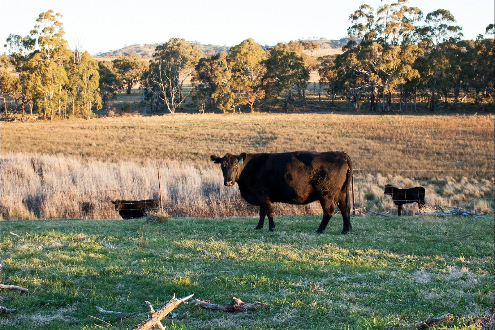 Meroo NSW ACT Tourism