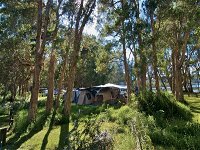 Neranie campground and picnic area - Surfers Gold Coast