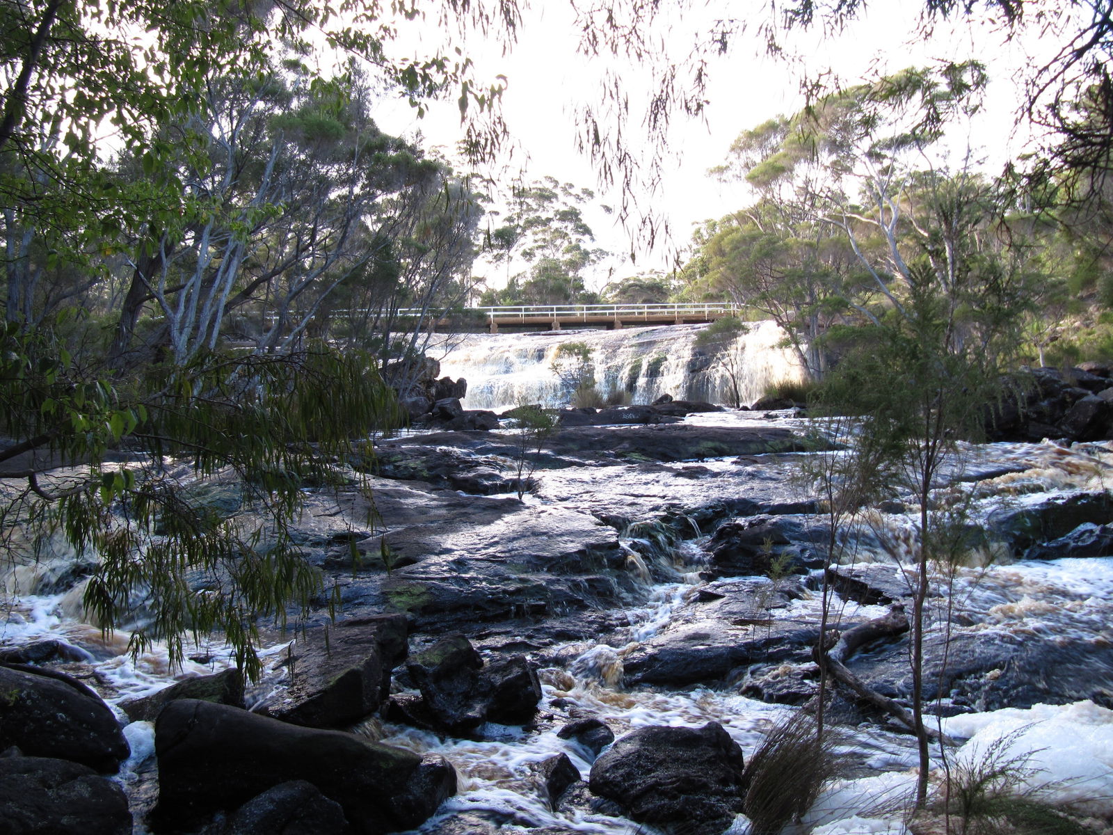 Trent WA Accommodation Gold Coast