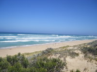 Oil Rig Square Campground - Canunda National Park - Phillip Island Accommodation