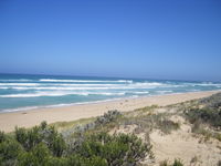 Oil Rig Square Campground - Canunda National Park - Surfers Gold Coast