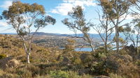 Peak View House - Accommodation Gladstone