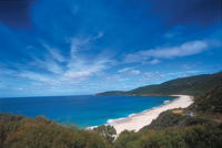 Shelley Beach Camp at West Cape Howe National Park - Foster Accommodation