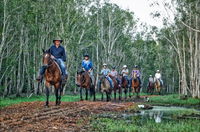 Susan River Homestead - Accommodation Port Macquarie