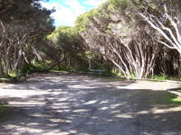 3 Mile Bend Campground - Beachport Conservation Park - Tourism Brisbane