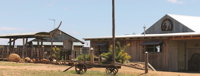 Billy'O Bush Retreat - Geraldton Accommodation