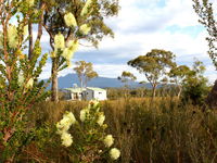 Buttongrass Retreat - Accommodation Gold Coast