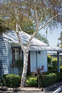 Canberra Ave Villas - Mackay Tourism