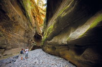 Carnarvon National Park camping - Coogee Beach Accommodation