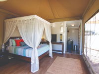 Dubbo Rhino Lodge - Accommodation in Brisbane