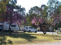 Eidsvold Caravan Park - Accommodation Rockhampton
