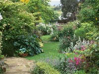Hamilton's Cottage Collection and Country Gardens - Georges Cottage - Accommodation Mt Buller