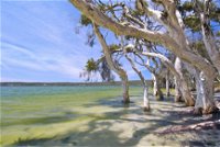 Margaret Cove Camp at Stokes National Park - Redcliffe Tourism