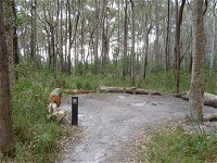 Meroo Head campground - Accommodation in Surfers Paradise