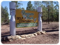 Possum Park - Tourism Caloundra