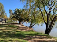 Robinvale Riverside Caravan Park - Accommodation Port Hedland