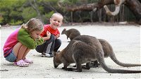 The Patriarch Wildlife Sanctuary Camping Ground - Accommodation Port Macquarie