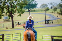 Tobruk Sydney Farm Stay - Townsville Tourism