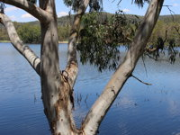 Bumberry Dam - Accommodation Broken Hill