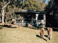 Depot Beach cabins - Accommodation Tasmania