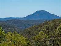 Finchley campground - Byron Bay Accommodation