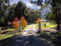 Hillview Oak Bed and Breakfast - Accommodation Tasmania