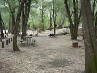 Honeymoon Pool Camp at Wellington National Park - Dalby Accommodation