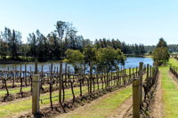 The Cottage Hunter Valley - Accommodation Find