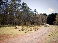 The Pines campground - Accommodation Cooktown