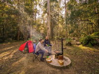 Thungutti campground - Great Ocean Road Tourism
