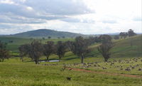 Wantana Cottage Farm Stay - Accommodation in Bendigo