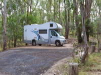 Wollomombi campground - St Kilda Accommodation