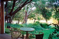 Bushy's Dream Cottages - SA Accommodation