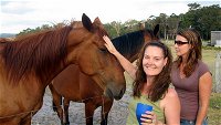 Meerup Springs Farmstay - Accommodation Gold Coast