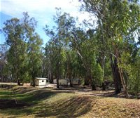 Balranald Caravan Park - Geraldton Accommodation