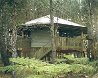 Possums Hideaway - Lennox Head Accommodation