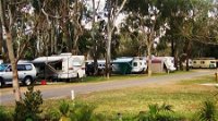 Buronga Riverside Tourist Park - Accommodation Sydney