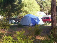 Aroundtu-It Eco Caravan Park - Accommodation Gold Coast