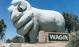 Wagin Motel - Accommodation Port Hedland