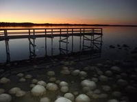 Lake Clifton Caravan Park - Great Ocean Road Tourism